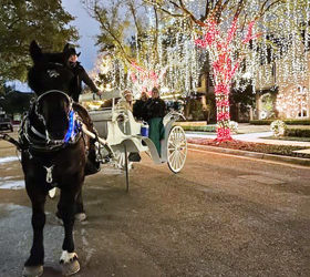 Free horse-drawn carriage rides from Christmas-town 2023 to downtown square