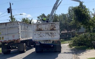 Garland continues storm recovery