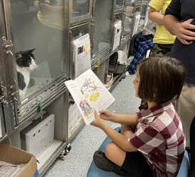 ‘Creative’ activities at Garland’s animal shelter